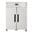 Congelador Polar Gastronorm doble puerta 1200L CD616
