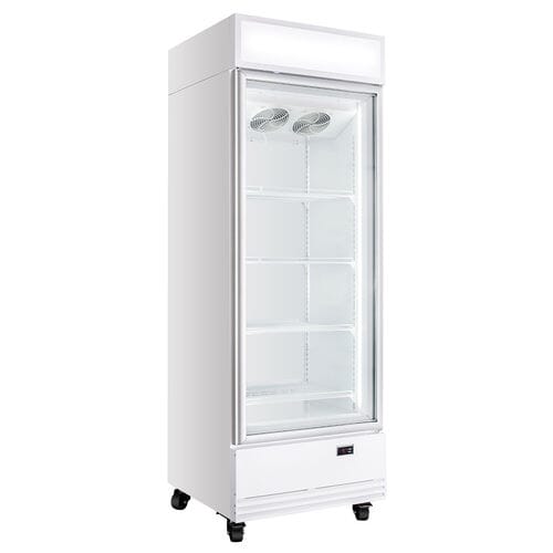 Frigorífico expositor para bebidas blanco panel iluminado 570L EASYLINE 11415 Vaiotec