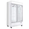 Frigorífico expositor de 2 puertas blanco panel iluminado 870L EASYLINE 11416 Vaiotec